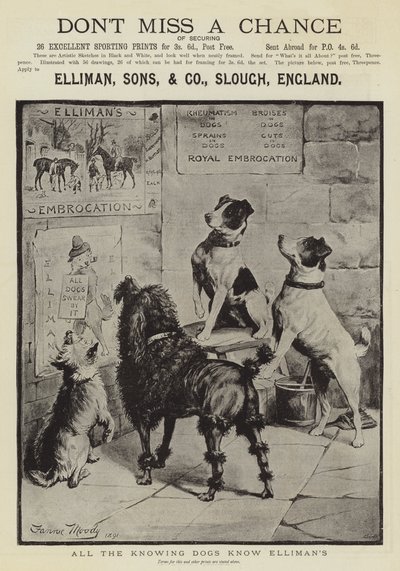 Anuncio, embrocación de Elliman de Fannie Moody